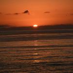 Cambria_0213 (November 04, 2017)